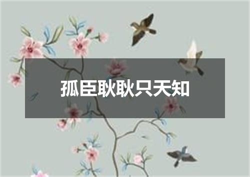孤臣耿耿只天知