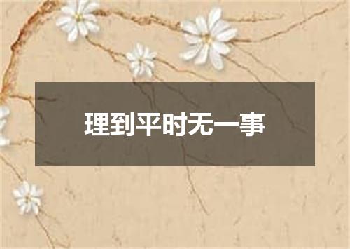 理到平时无一事