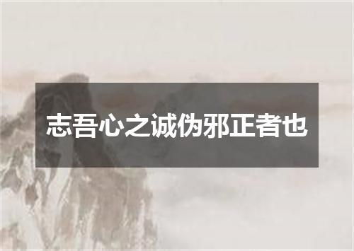 志吾心之诚伪邪正者也