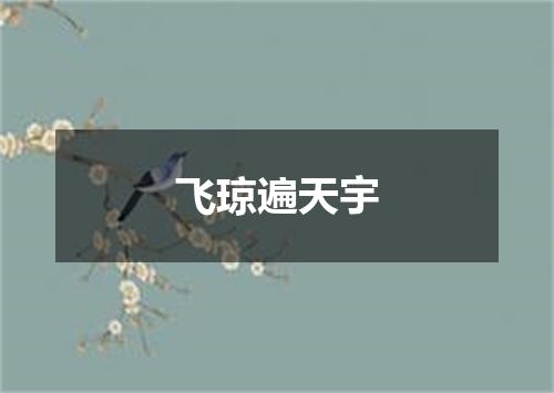 飞琼遍天宇