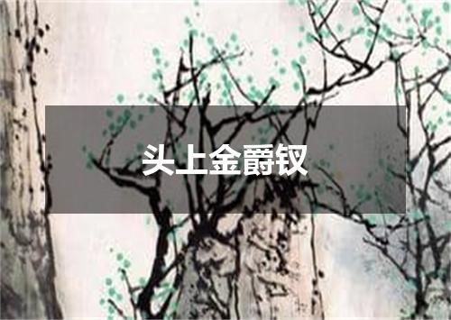 头上金爵钗