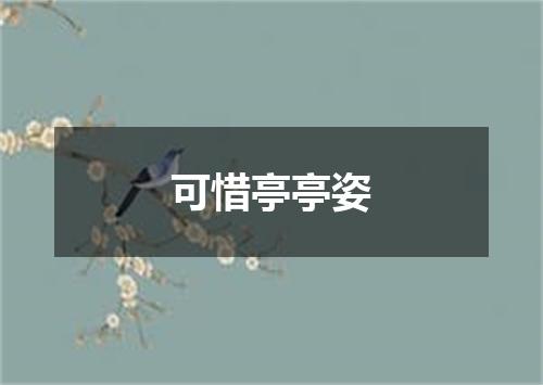 可惜亭亭姿