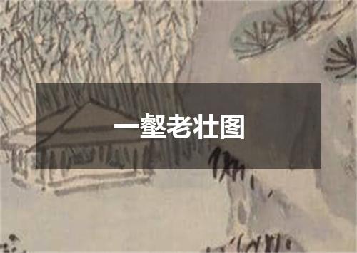 一壑老壮图