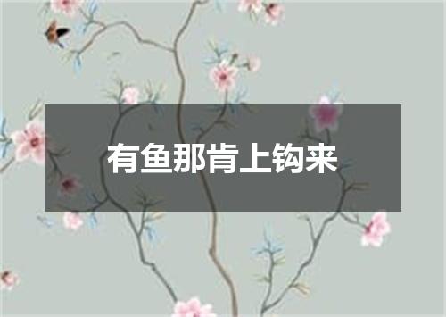 有鱼那肯上钩来