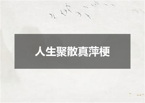 人生聚散真萍梗