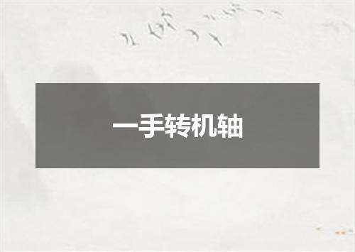 一手转机轴