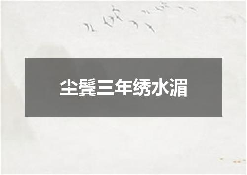 尘鬓三年绣水湄