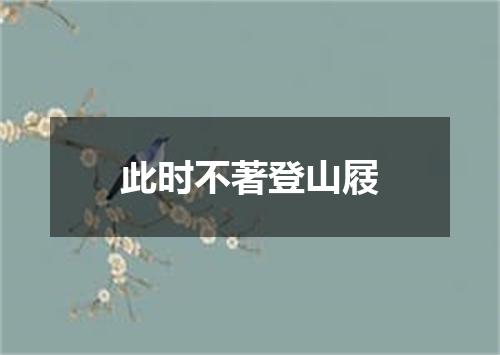 此时不著登山屐