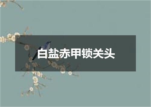 白盐赤甲锁关头