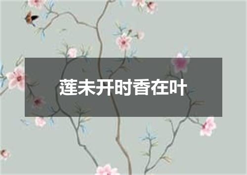 莲未开时香在叶