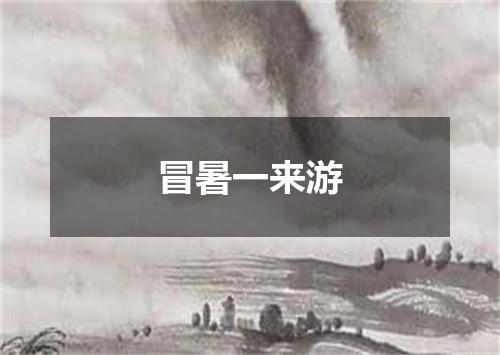 冒暑一来游