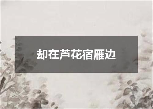 却在芦花宿雁边