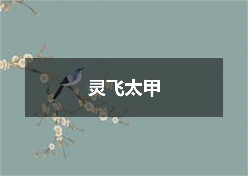 灵飞太甲