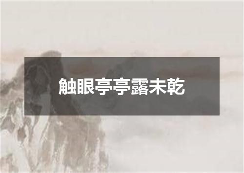 触眼亭亭露未乾