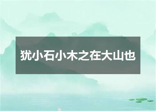 犹小石小木之在大山也
