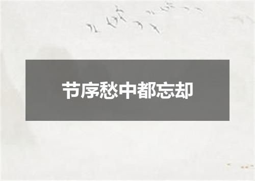 节序愁中都忘却
