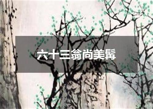 六十三翁尚美髯