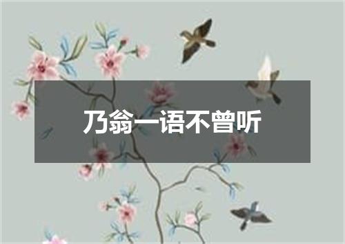 乃翁一语不曾听