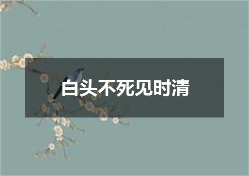 白头不死见时清