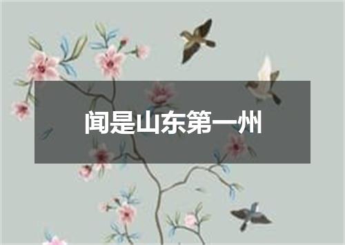 闻是山东第一州