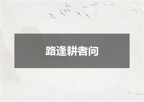 路逢耕者问