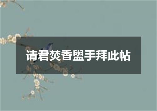 请君焚香盥手拜此帖