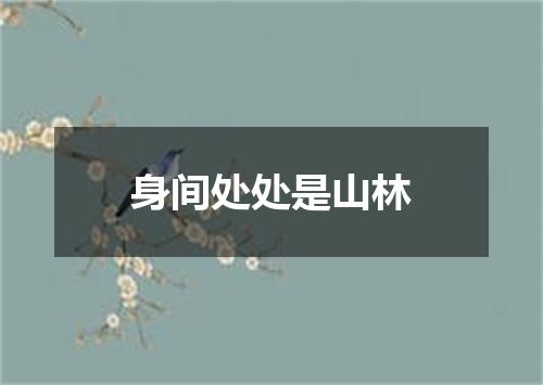 身间处处是山林