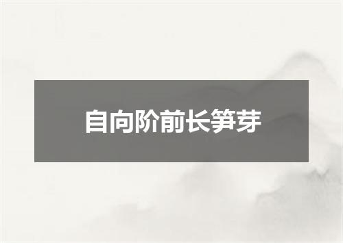自向阶前长笋芽