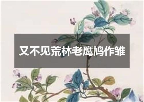 又不见荒林老鹰鸠作雏