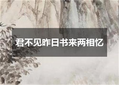 君不见昨日书来两相忆