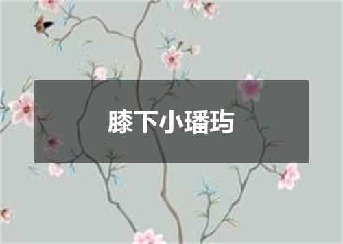膝下小璠玙