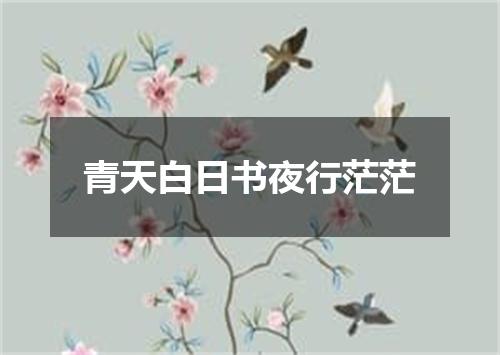 青天白日书夜行茫茫