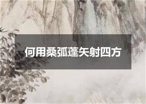 何用桑弧蓬矢射四方