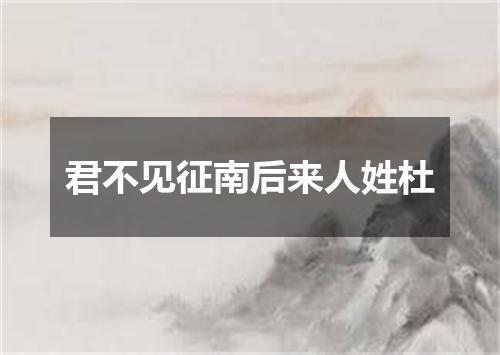 君不见征南后来人姓杜