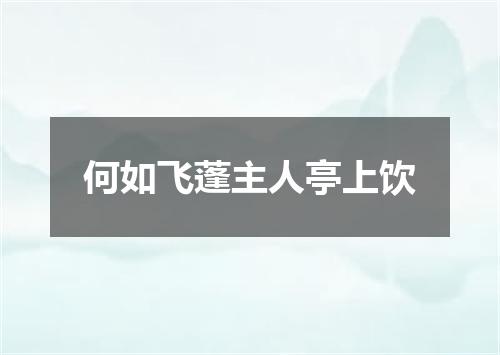 何如飞蓬主人亭上饮