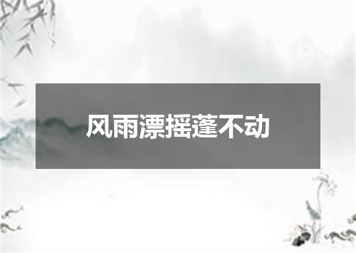 风雨漂摇蓬不动