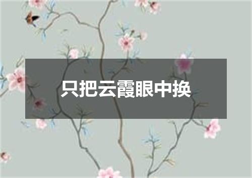 只把云霞眼中换