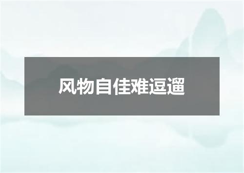 风物自佳难逗遛