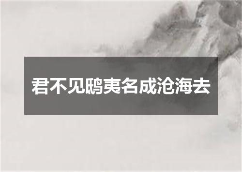 君不见鸱夷名成沧海去