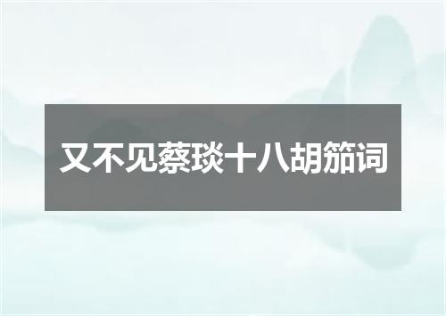 又不见蔡琰十八胡笳词