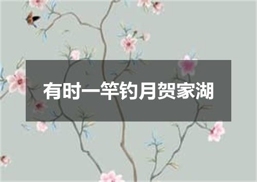 有时一竿钓月贺家湖