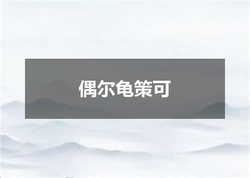 偶尔龟策可