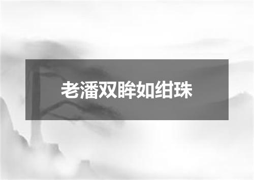 老潘双眸如绀珠