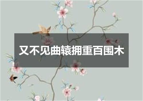 又不见曲辕拥重百围木