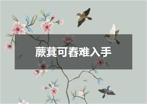 蕨萁可舂难入手