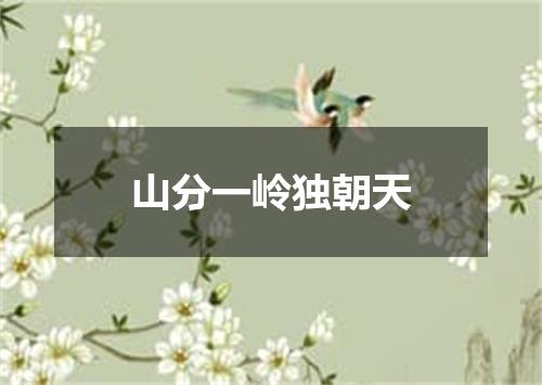 山分一岭独朝天