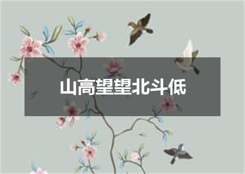 山高望望北斗低