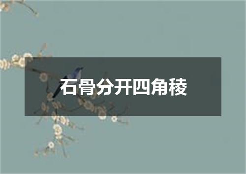 石骨分开四角稜