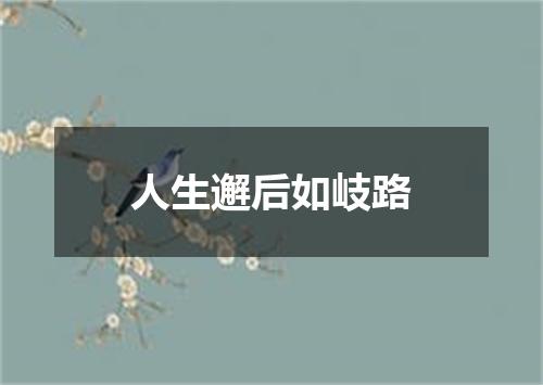 人生邂后如岐路