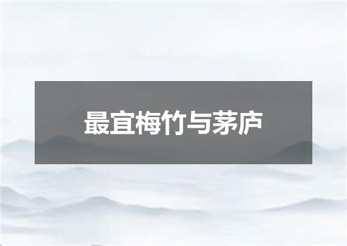 最宜梅竹与茅庐